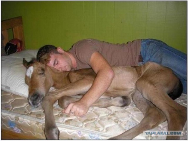 Откуда берется героин?