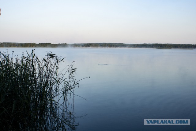 Это Владивосток! А у вас какое утро?