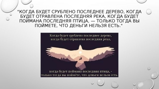 В России разрешили добычу животных, занесенных в Красную книгу