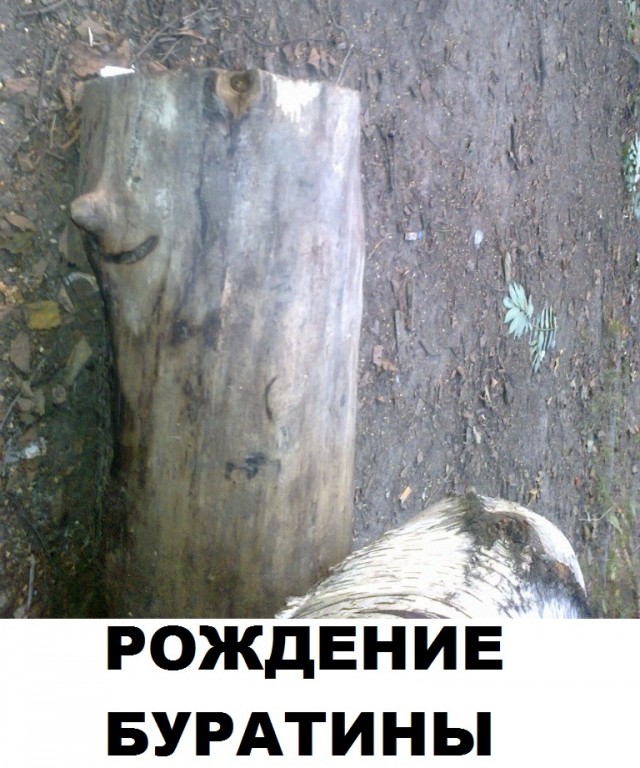 Скотсети и прочие интернеты 05.08.2021