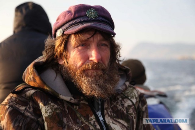 В Москве обнаружили «мигрантский квартал»