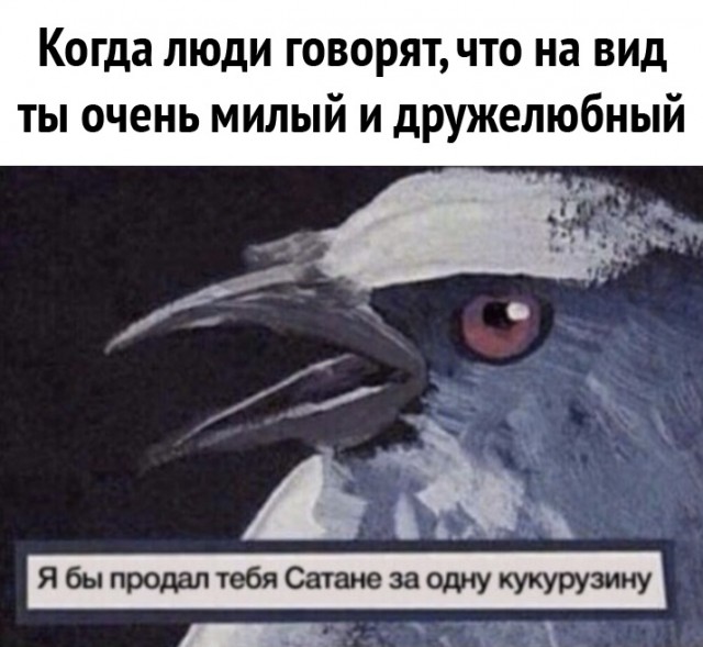 35 картинок разных 26.08.2021