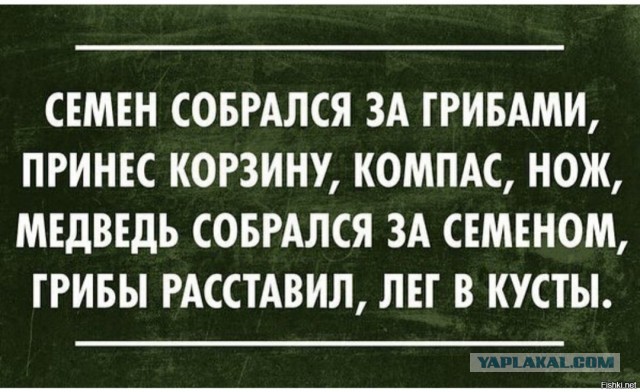 Сходили за грибами