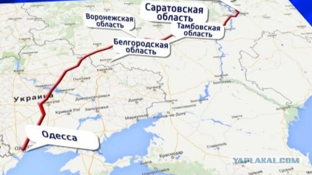 ​​Жители Тамани пытаются спасти побережье от экологической катастрофы: там бельгиец с двойным гражданством построит 8 опасных химзаводов