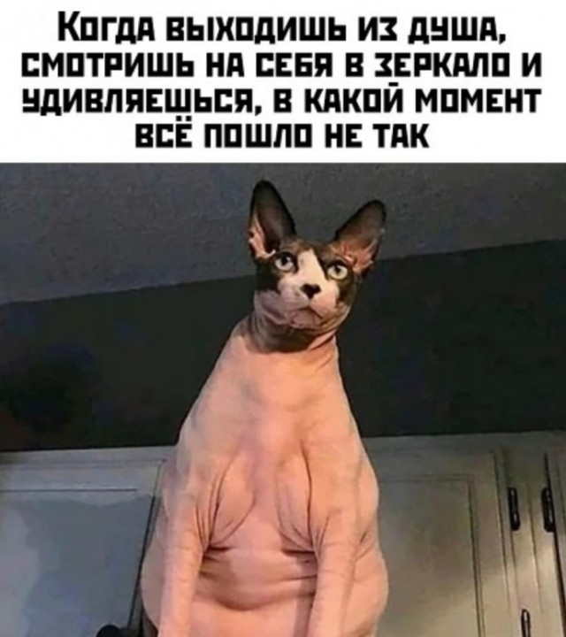 Картинки на четверг 28.10.2021