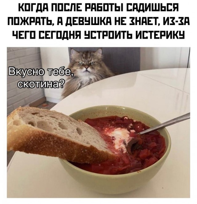 Весёлый полтишок 30.10