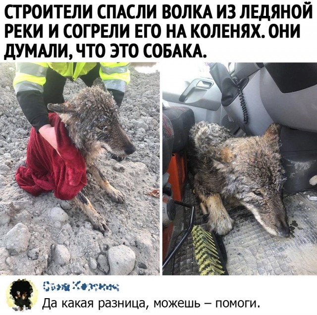 Так себе картинки 01.11.2021