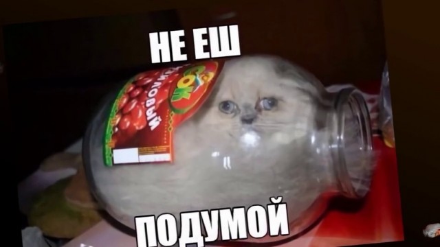 Так себе картинки 13.12.21