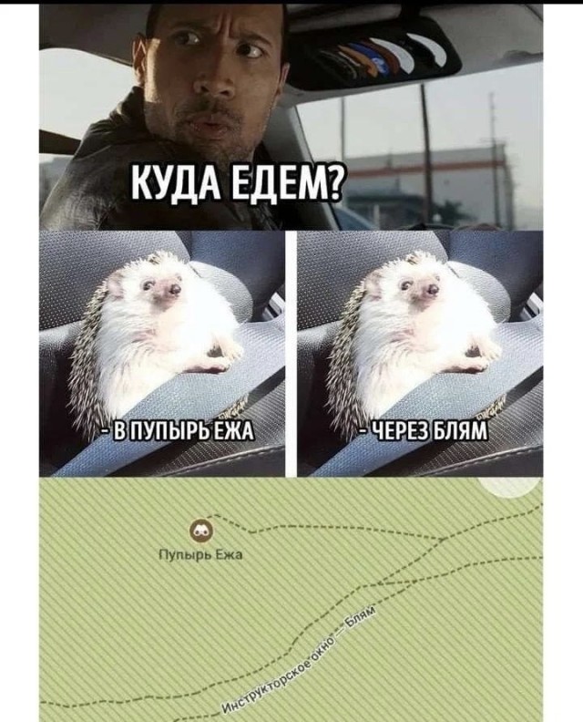 Картинки и мемы, всем отличных выходных