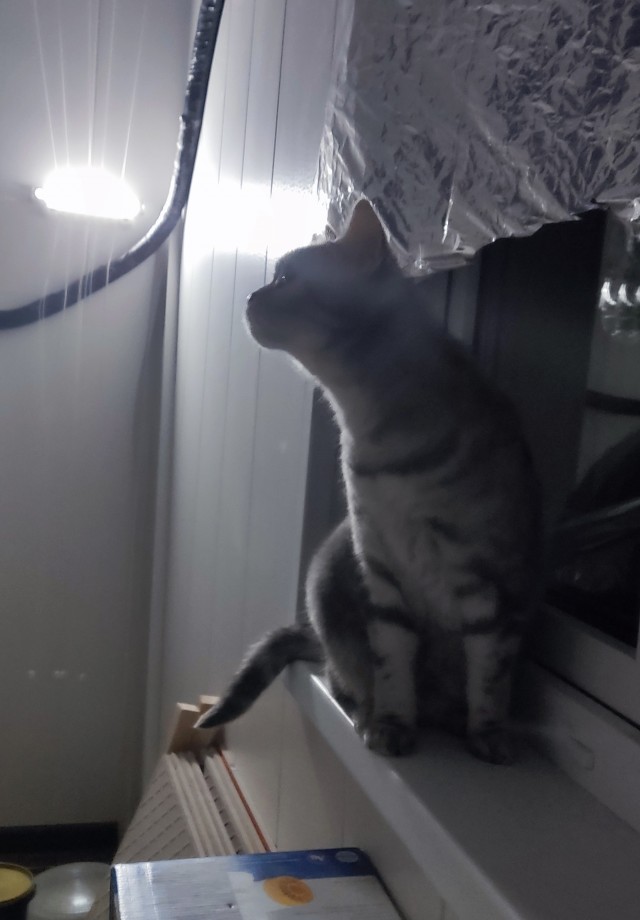 Кот д’Ивуар