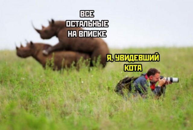 Картинки и мемы для настроения - 19