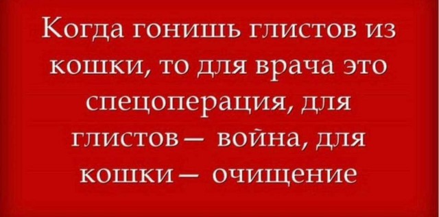 Пандемия съехавших крыш - разновидности болезни. Россия и мир. Часть 38