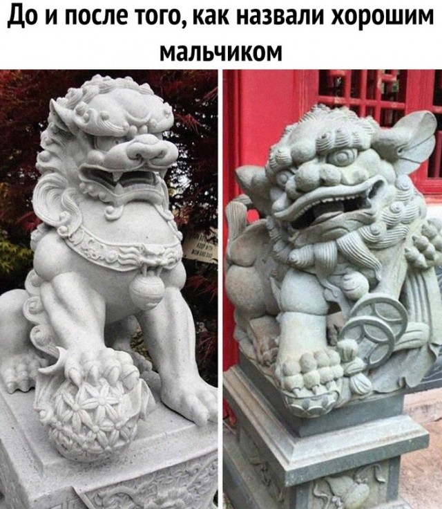 Картинки и мемы для настроения. Выходные близко...