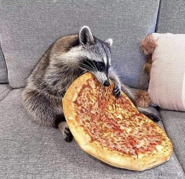 Юмор в картинках и без