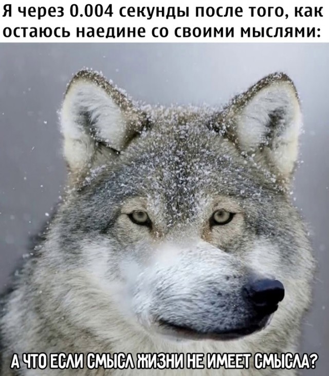 Картинки и мемы, всем хороших выходных