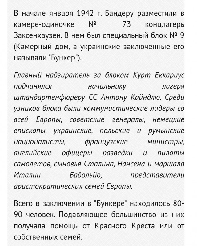 Джимми Дор на связи