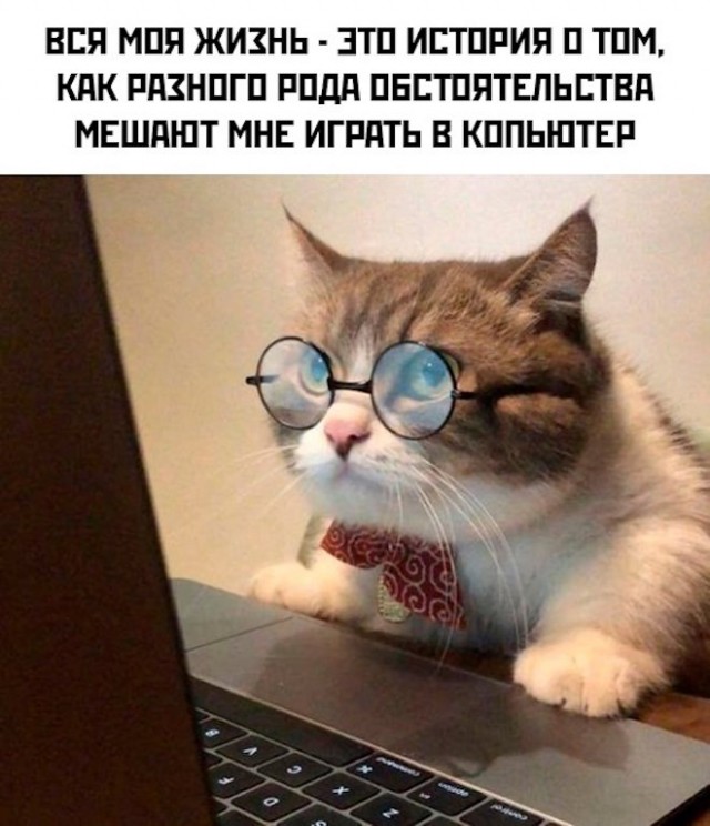 Картинки и мемы. Выходные близко...