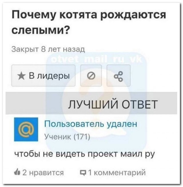 Забавные комментарии из социальных сетей (16.01.23)