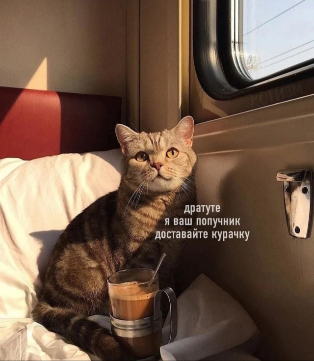 Налетай! Халявные бойаны!
