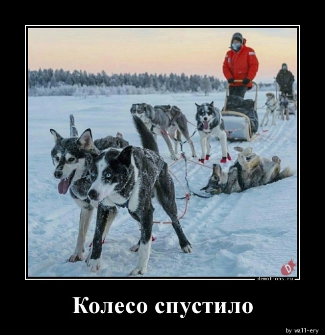 Не хочу! Не буду! Не пойду!