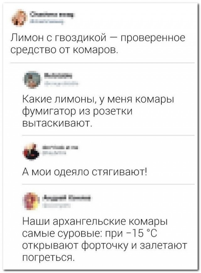 Забавные комментарии из социальных сетей (17.04.23)