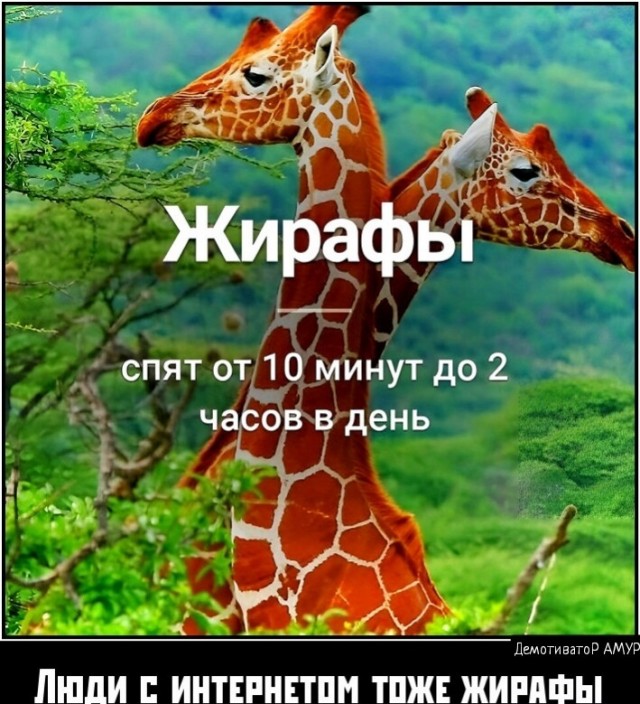 Картинки и мемы для настроения - 167