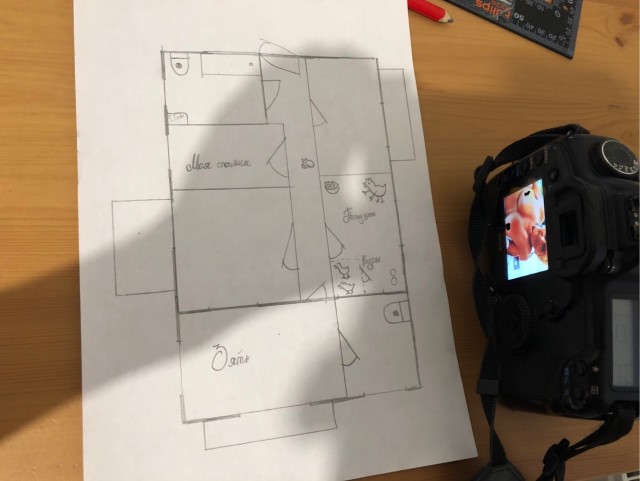 Тёща хочет построить курятник в квартире