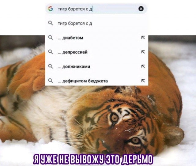 Победная поступь идиотизма по планете – том 13