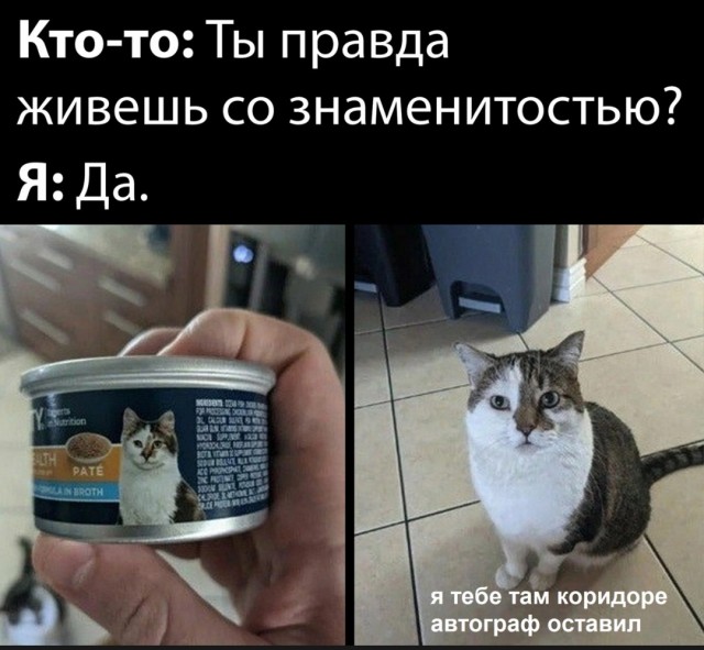 Почему женщина избегает исполнять супружеский долг?