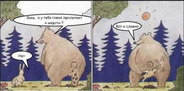 Чем вытирать задницу в походе?