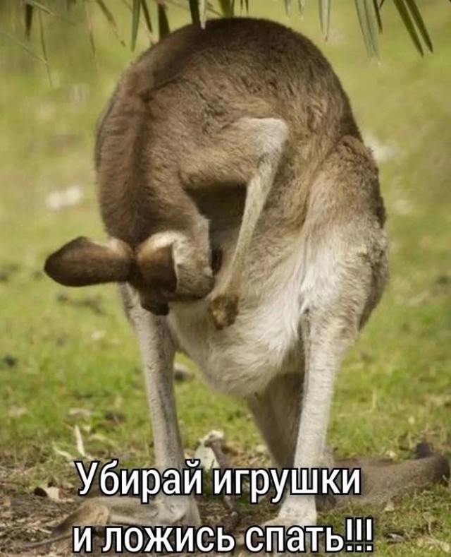 Весёлый полтишок 20.09.23