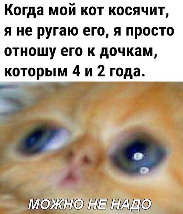 Так себе картинки 22.01.24