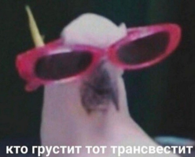 В Германии легализуют каннабис