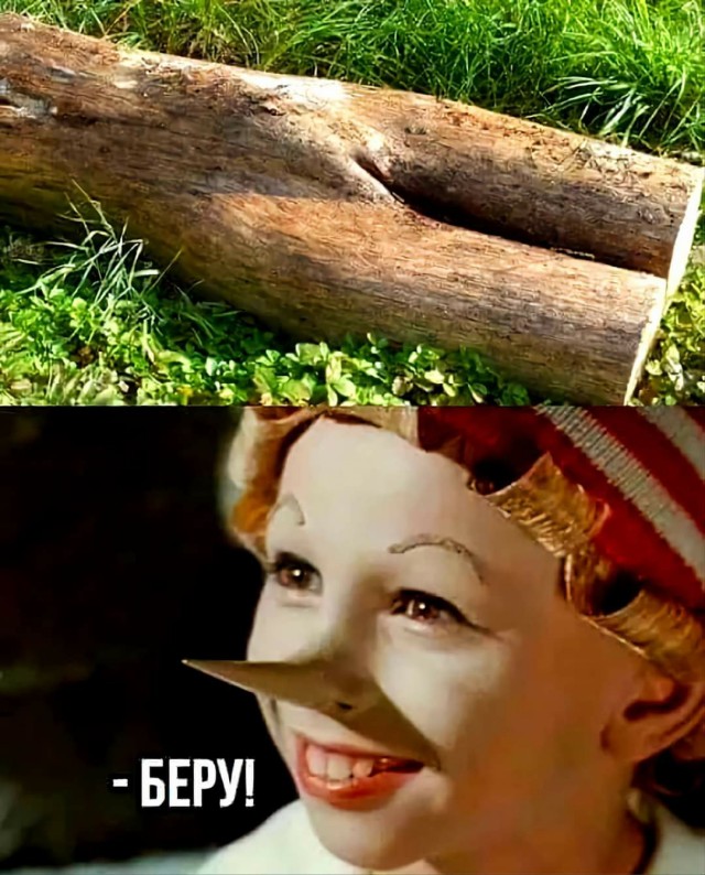 Весёлые картинки