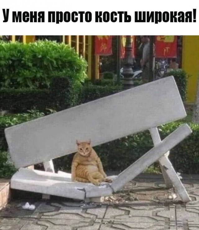 Так себе картинки 03.05.24