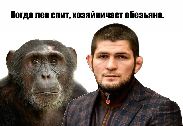 Любимчик Путина оказался гражданином ОАЭ.