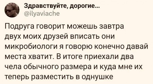 Нуштош 16.08.2024
