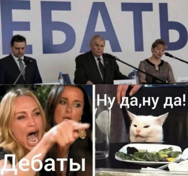 Немного забавных картинок от 22.08.2024