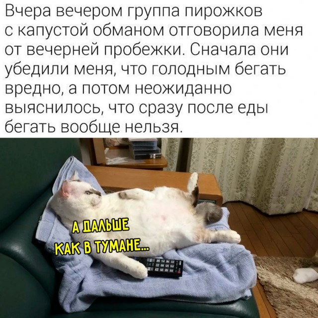 Весёлый полтишок 27.08.24