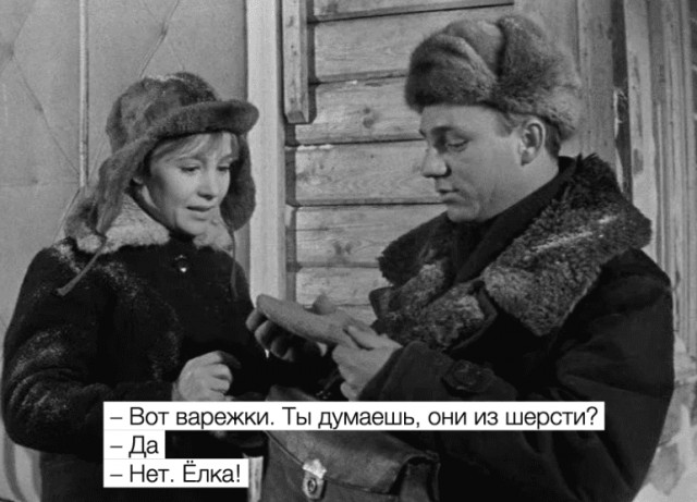 Зачем Россию собираются засадить "революционным" растением – мискантусом