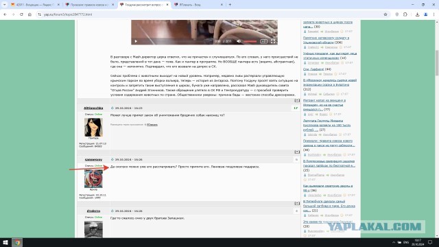 Ротилк