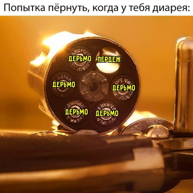 Весёлый полтишок 01.11.24