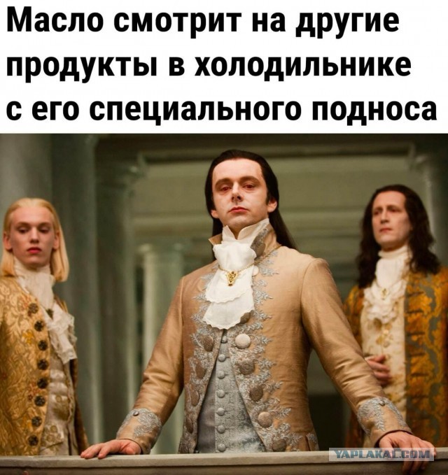 Яп познавательный. Как правильно хранить продукты в холодильнике.