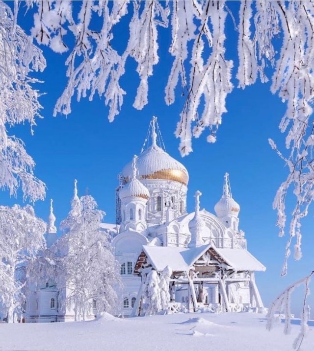Прикольные и просто красивые картинки 10.12.2024