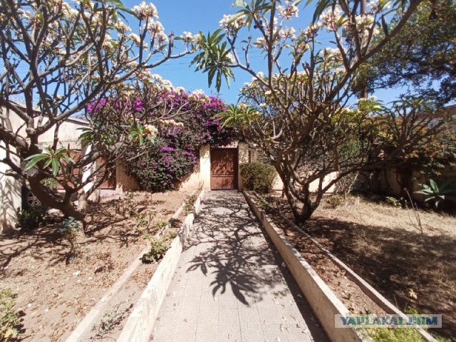 Как я переехал в частный дом... в Африку