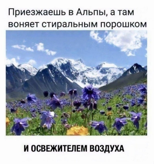 Веселые картинки в понедельник (03.03)