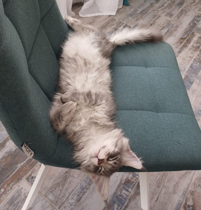 Кайфушки. Ко вторнику.