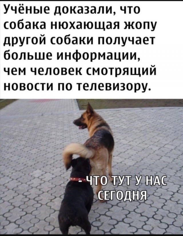 Так себе картинки 15.06.25