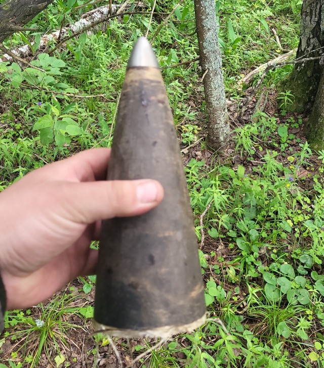 Грибной поход . День второй