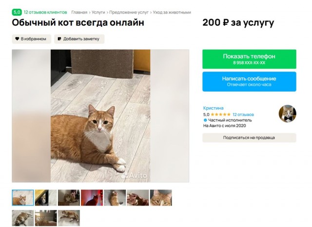 Наконец-то нормальный бизнес